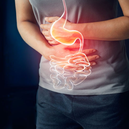 How Chiropractic Care Supports Digestive Health